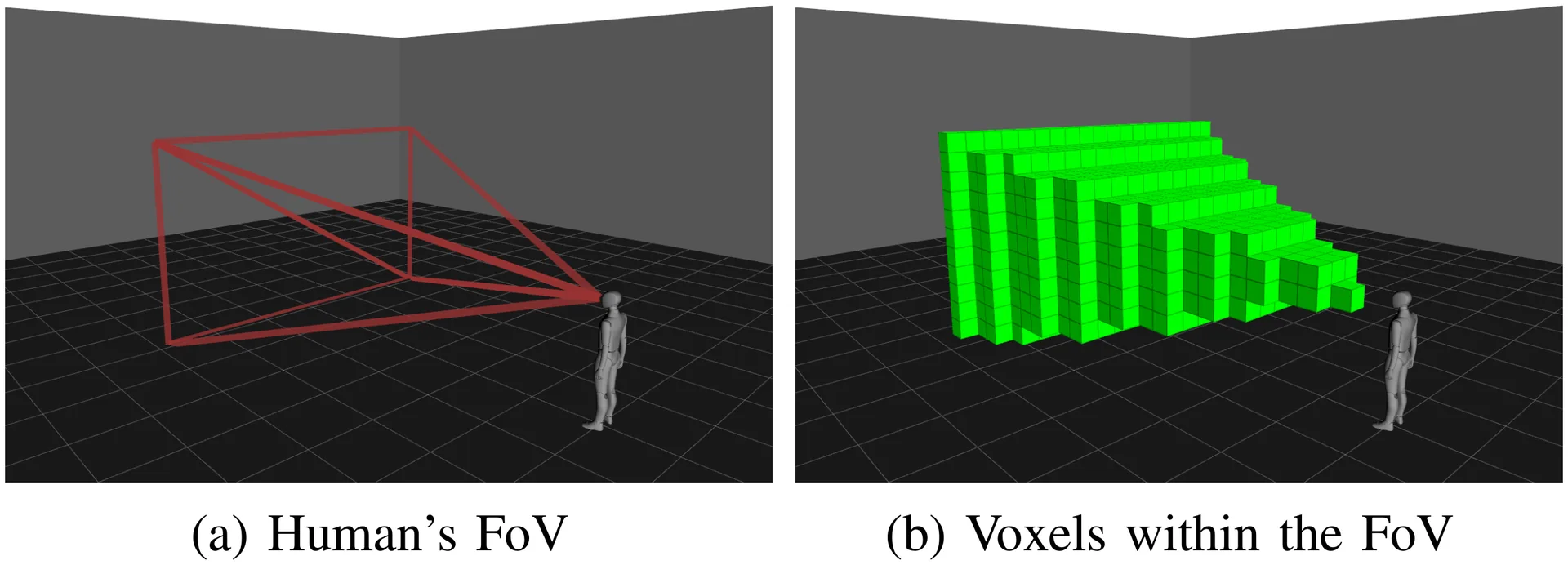 Region of Interest from Human FoV